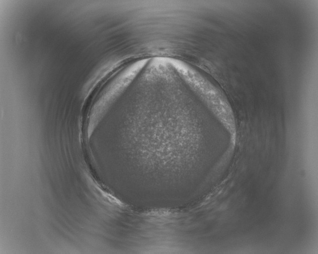 X0000056330194200509232022