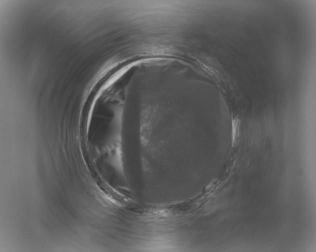 X0000056330195200509232022