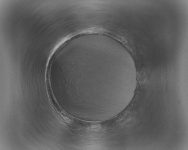 X0000056330196200509232022