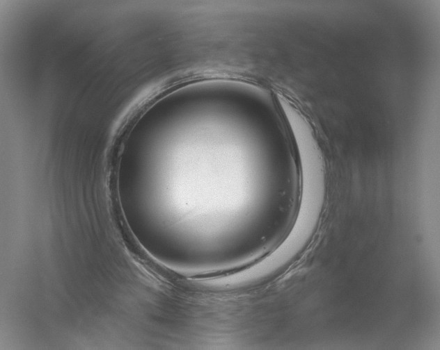 X0000056330197200509232022