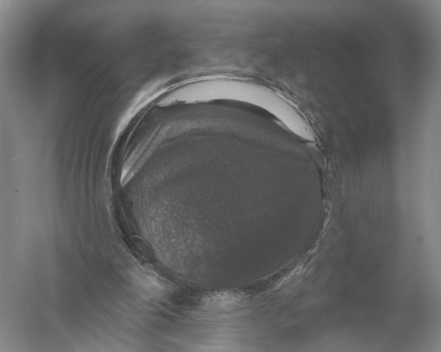 X0000056330198200509232022