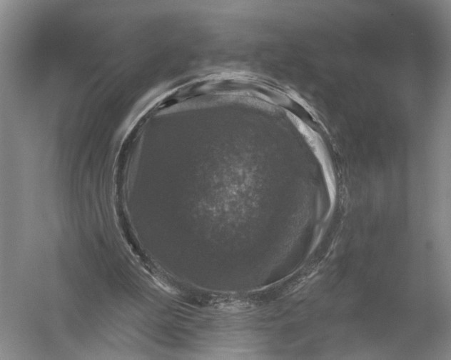 X0000056330199200509232022