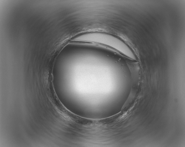 X0000056330201200509232022