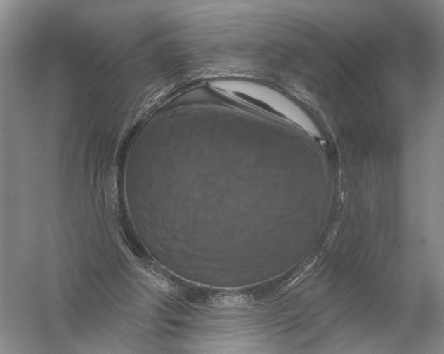 X0000056330202200509232022