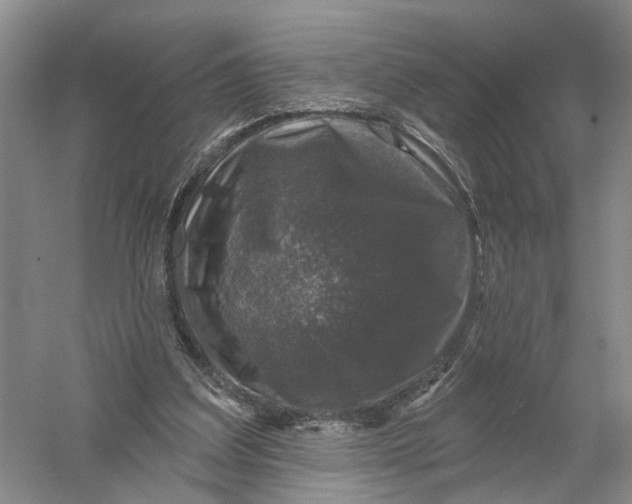 X0000056330203200509232021