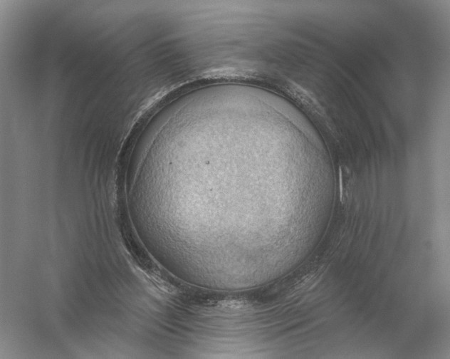 X0000056330204200509232021