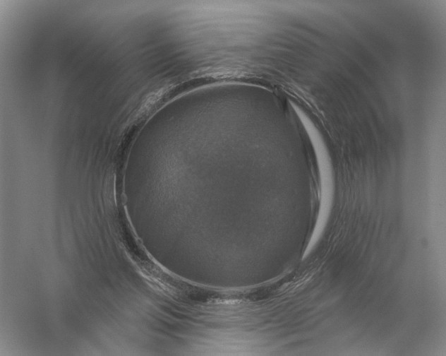 X0000056330205200509232021