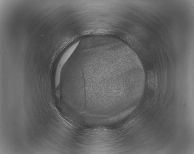 X0000056330206200509232021