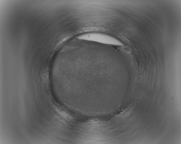 X0000056330207200509232021