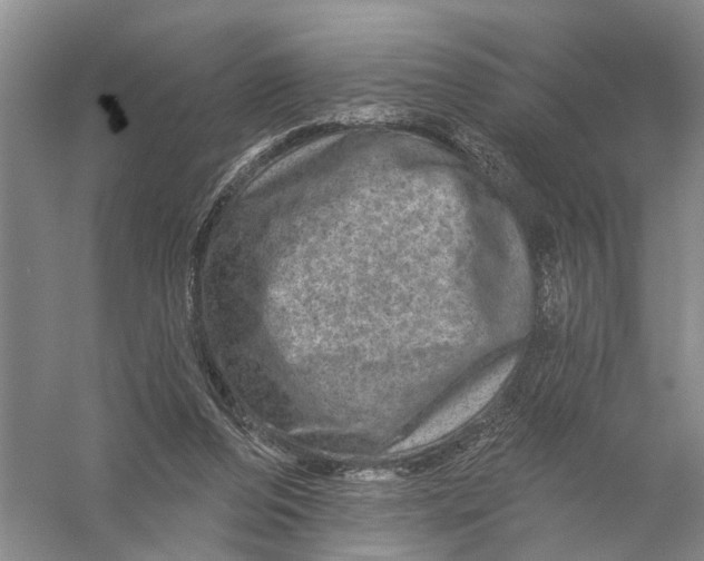 X0000056330208200509232021