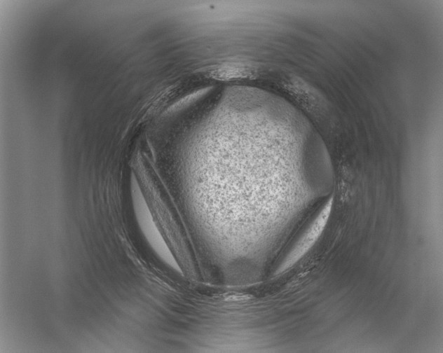 X0000056330210200509232021