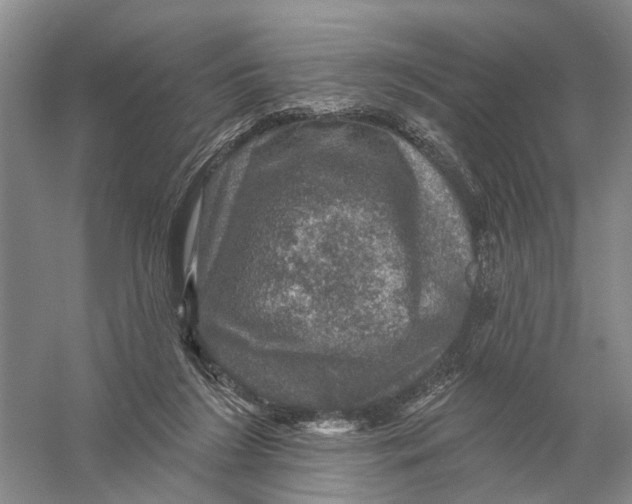 X0000056330212200509232021