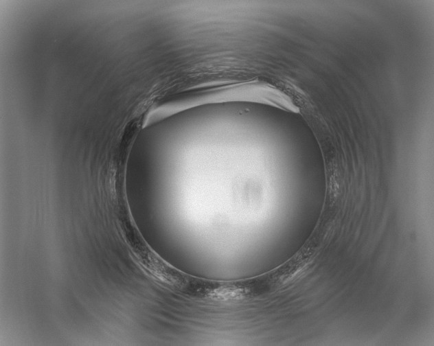 X0000056330213200509232021