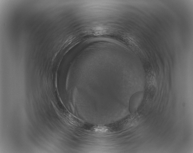 X0000056330214200509232021