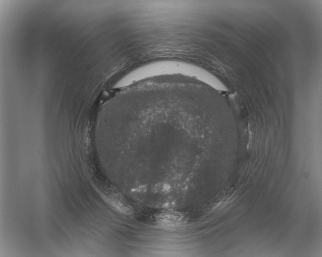 X0000056330215200509232021