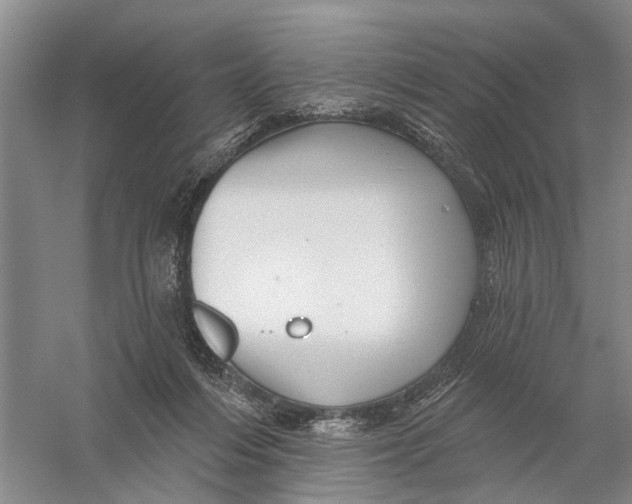 X0000056330216200509232021