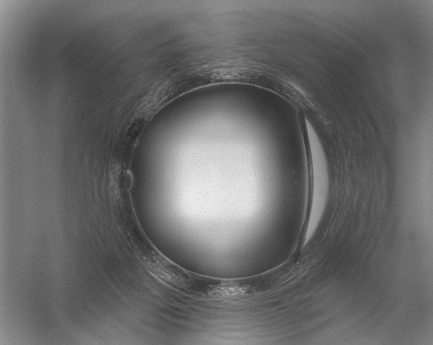 X0000056330217200509232021