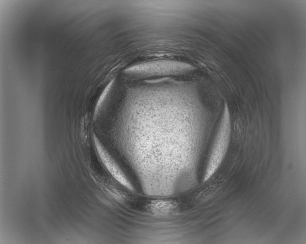 X0000056330218200509232021