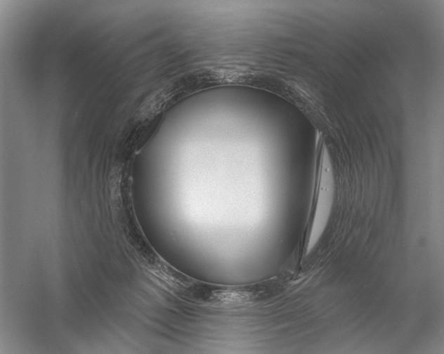 X0000056330221200509232021