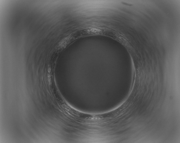 X0000056330223200509232021