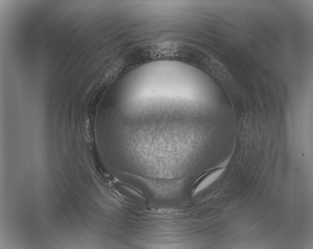 X0000056330224200509232021