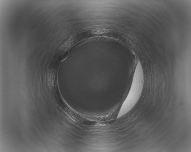 X0000056330227200509232021