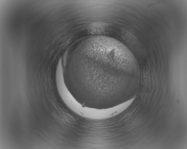 X0000056330228200509232021