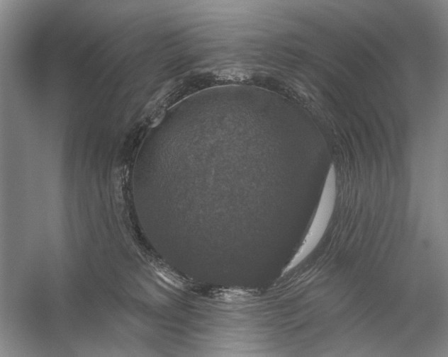 X0000056330229200509232021