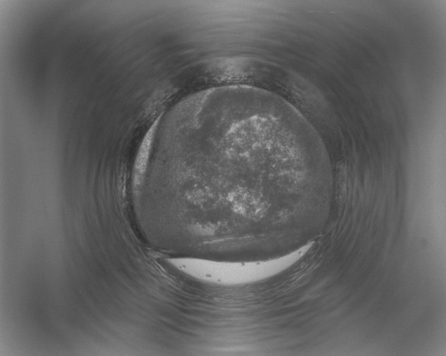 X0000056330230200509232021