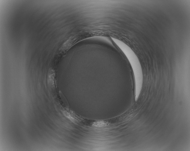 X0000056330231200509232021