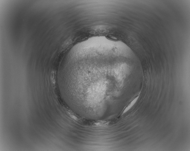 X0000056330232200509232021