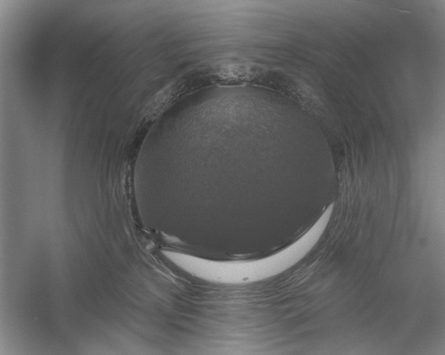 X0000056330233200509232021