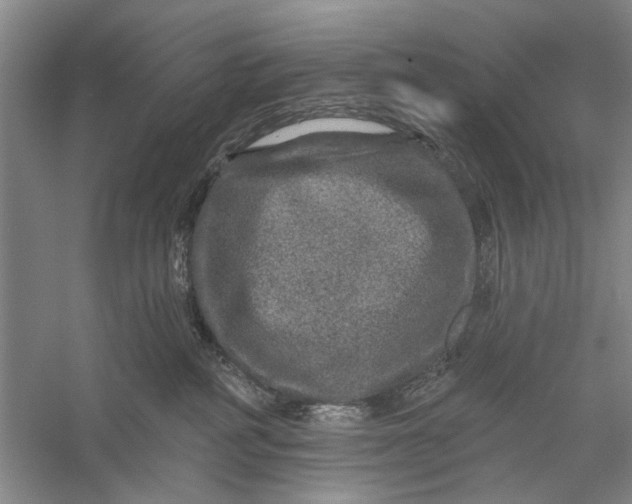 X0000056330234200509232021