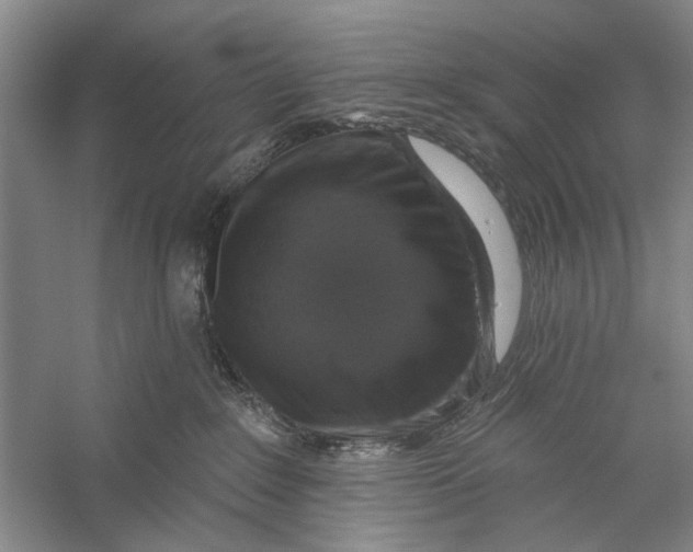 X0000056330235200509232021