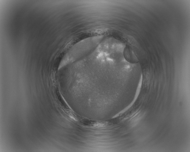 X0000056330236200509232021