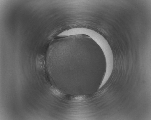 X0000056330237200509232021