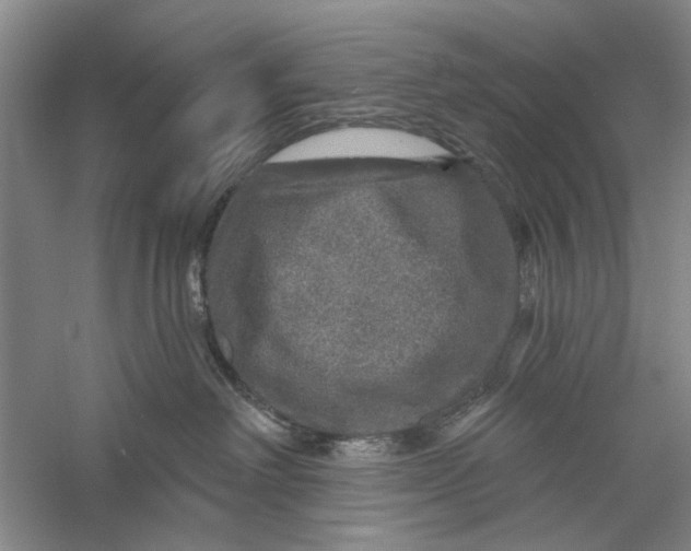 X0000056330238200509232021