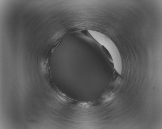 X0000056330239200509232021