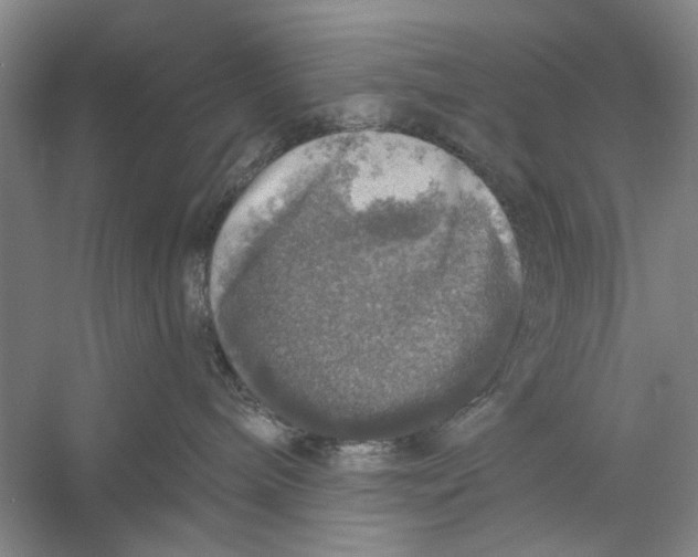 X0000056330240200509232021