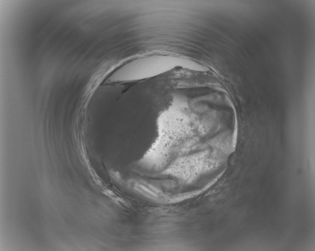 X0000056330241200509232020