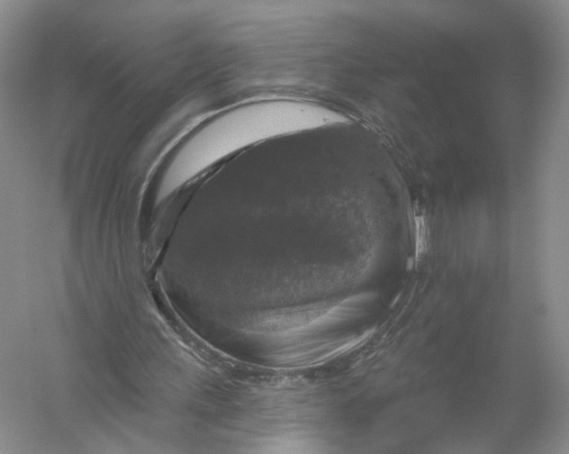 X0000056330243200509232020