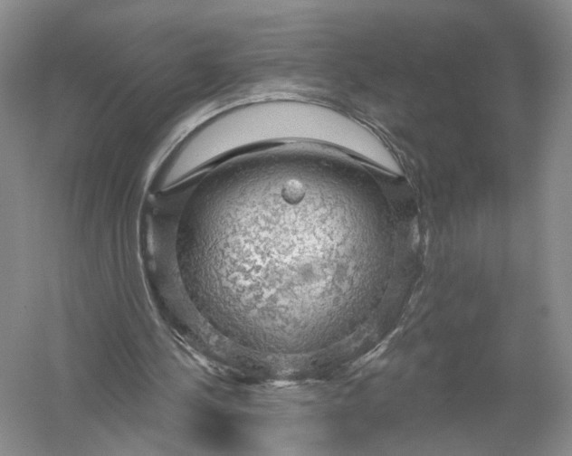 X0000056330244200509232020