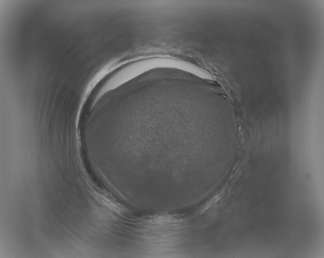 X0000056330246200509232020