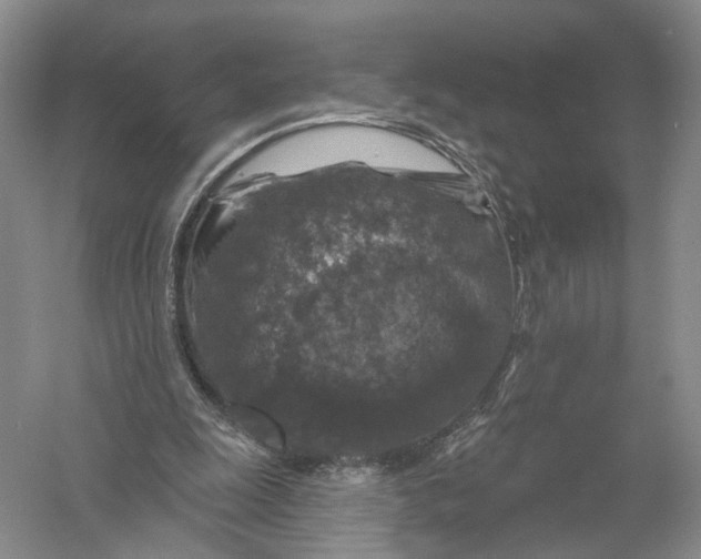 X0000056330247200509232020