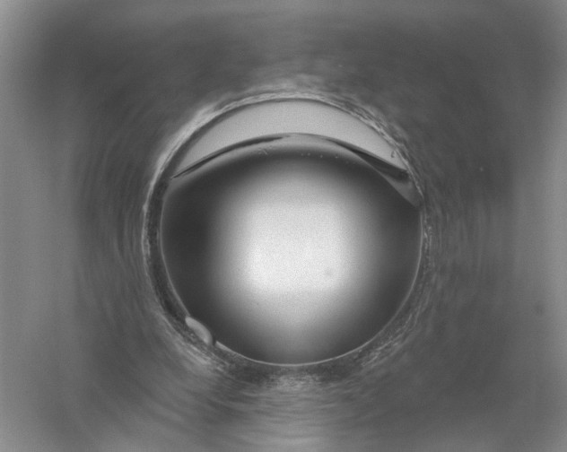 X0000056330248200509232020