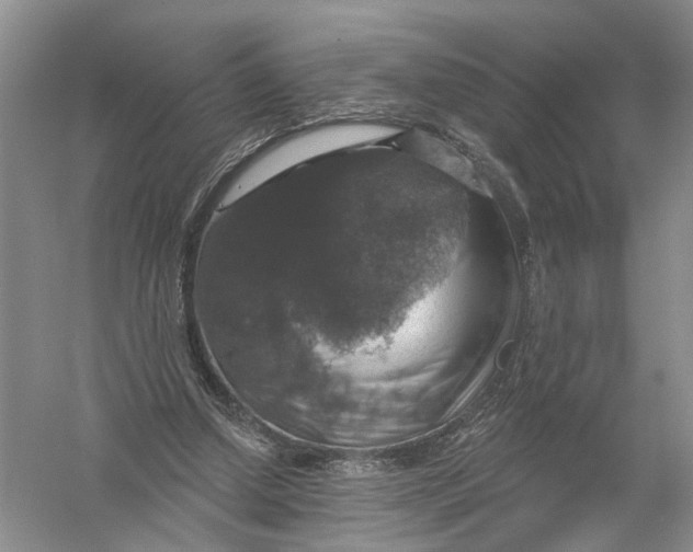 X0000056330250200509232020