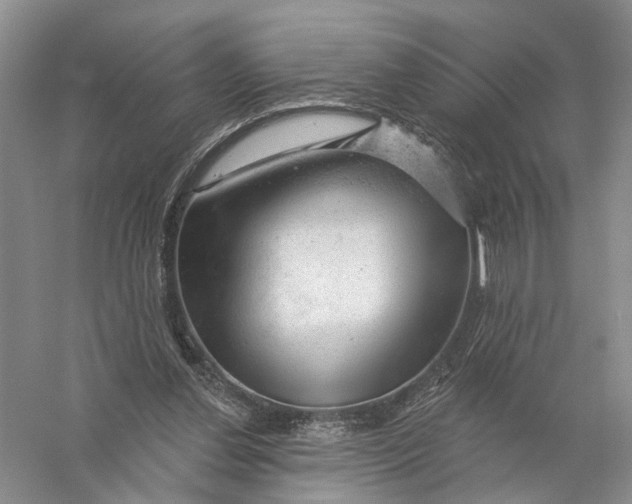 X0000056330252200509232020