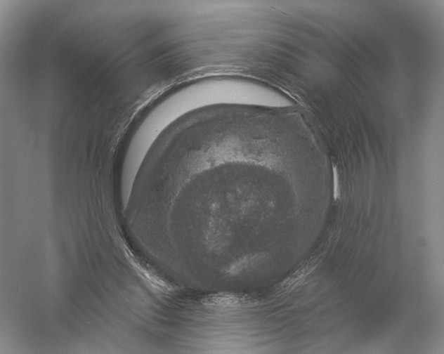 X0000056330253200509232020