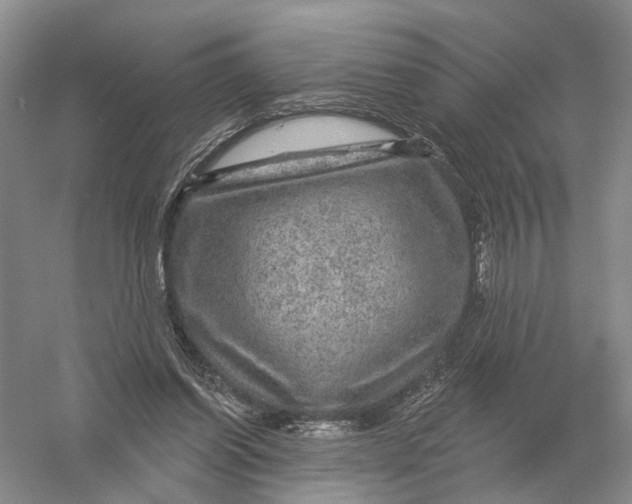 X0000056330254200509232020