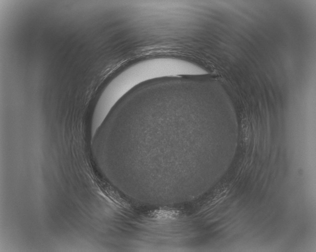 X0000056330255200509232020